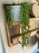 Vaso c/ Planta Pendente