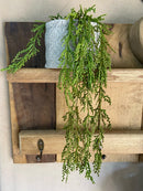 Vaso c/ Planta Pendente