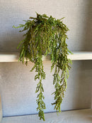 Vaso c/ Planta Pendente