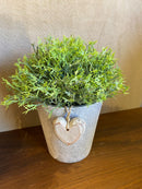 Vaso Cinza c/ Verdinho