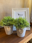 Vaso Cinza c/ Verdinho