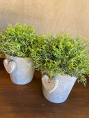 Vaso Cinza c/ Verdinho