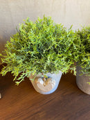 Vaso Cinza c/ Verdinho