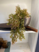 Vaso c/ Planta Pendente