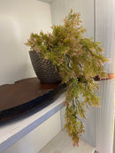 Vaso c/ Planta Pendente