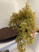 Vaso c/ Planta Pendente