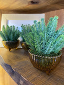 Vaso Âmbar c/ Verdinhos