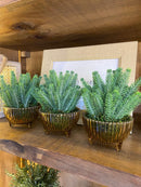 Vaso Âmbar c/ Verdinhos