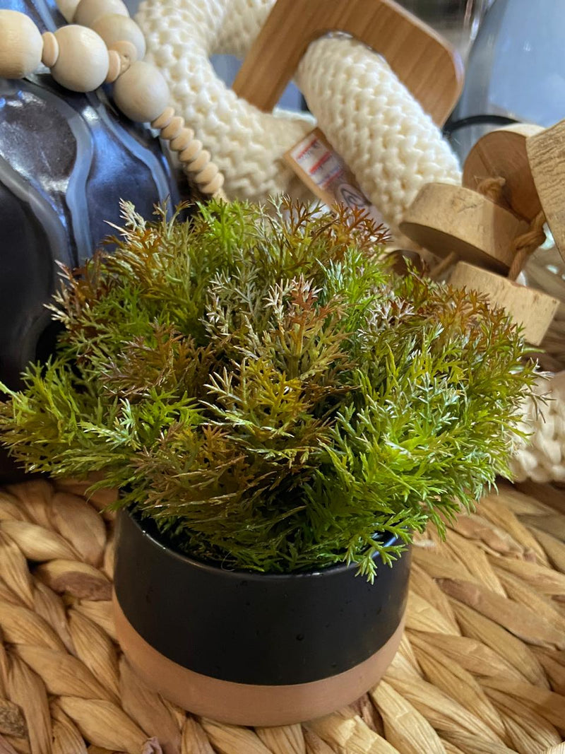 Vaso c/ Verdinhos