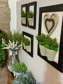 Conjunto c/ 4 Quadros de Verdinhos