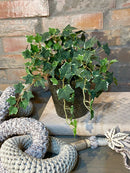 Vaso c/ Planta Hera Mescla