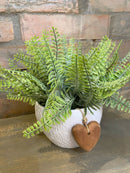 Vaso Coração c/ Samambaias