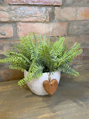 Vaso Coração c/ Samambaias