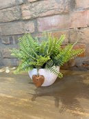 Vaso Coração c/ Samambaias