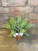 Vaso Coração c/ Samambaias