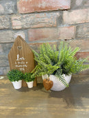 COMBO - Casinha + Vaso c/ Verdinho