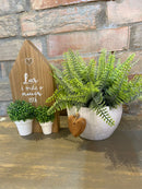 COMBO - Casinha + Vaso c/ Verdinho