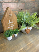 COMBO - Casinha + Vaso c/ Verdinho