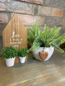 COMBO - Casinha + Vaso c/ Verdinho