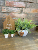 COMBO - Casinha + Vaso c/ Verdinho