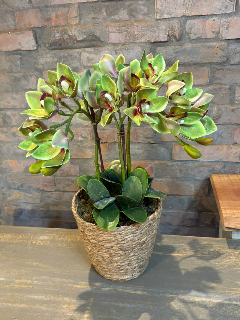 Cesto c/ Arranjo de Orquídeas