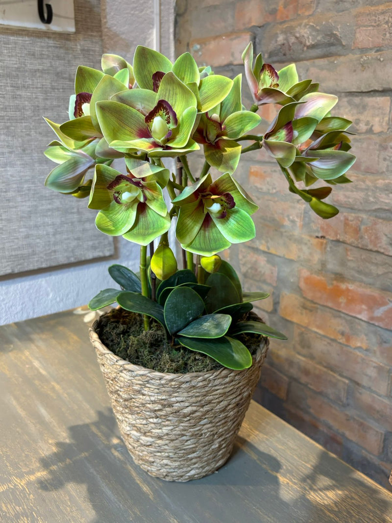Cesto c/ Arranjo de Orquídeas
