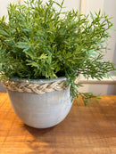 Vaso Corda c/ Alecrim