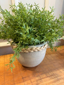 Vaso Corda c/ Alecrim