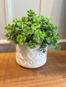 Vaso Coração Estampado c/ Eucaliptos