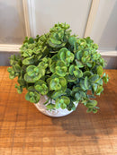 Vaso Coração Estampado c/ Eucaliptos