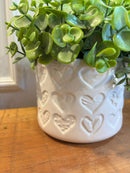 Vaso Coração Estampado c/ Eucaliptos