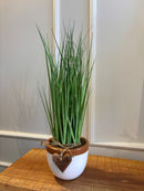 Vaso de Cerâmica c/ Capim