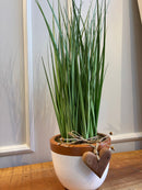 Vaso de Cerâmica c/ Capim