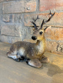 Enfeite Natalino - Rena