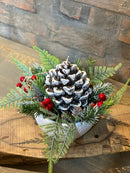 Arranjo Natalino de Pinha