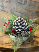 Arranjo Natalino de Pinha