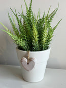 Vaso c/ Verdinhos Cipreste