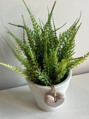 Vaso c/ Verdinhos Cipreste