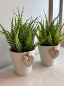 Vaso c/ Verdinhos Cipreste