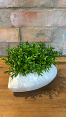 Vaso Coração c/ Verdinhos