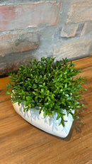 Vaso Coração c/ Verdinhos