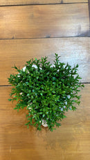 Vaso Coração c/ Verdinhos