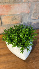 Vaso Coração c/ Verdinhos