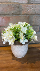 Vaso c/ Arranjo Floral Branco